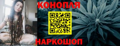 сатива Будённовск