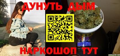 сатива Будённовск