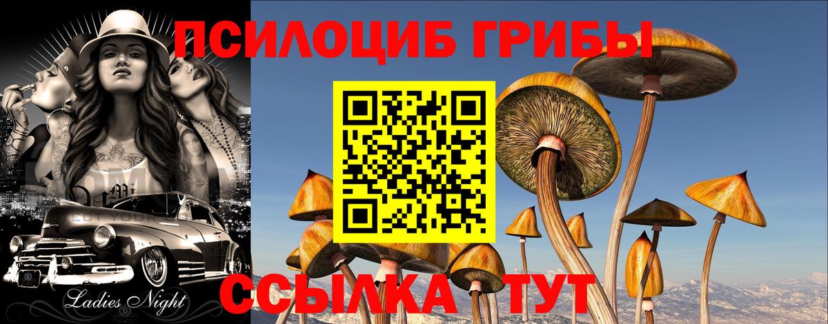 Галлюциногенные грибы мухоморы Ногинск