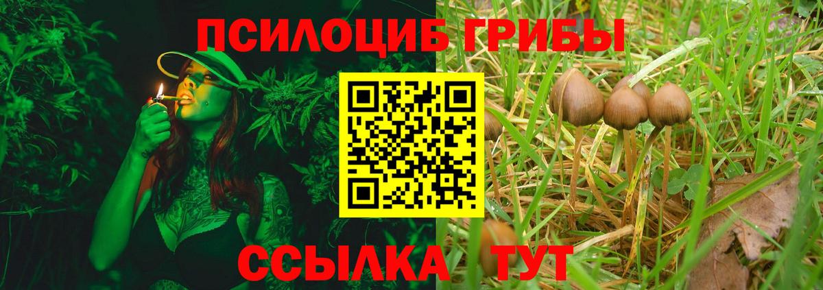 Галлюциногенные грибы MAGIC MUSHROOMS  Вход с VPN  Ногинск 